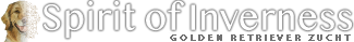 Spirit of Inverness - Golden Retriever Zucht Berlin Brandenburg Mecklenburg-Vorpommern Sachsen Sachsen-Anhalt Thüringen Nordrhein-Westfalen Bayern Baden-Württemberg Niedersachsen Hessen Rheinland-Pfalz Schleswig-Holstein Hamburg Saarland Bremen