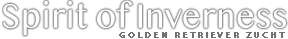 Spirit of Inverness - Golden Retriever Zucht Berlin Brandenburg Mecklenburg-Vorpommern Sachsen Sachsen-Anhalt Thüringen Nordrhein-Westfalen Bayern Baden-Württemberg Niedersachsen Hessen Rheinland-Pfalz Schleswig-Holstein Hamburg Saarland Bremen